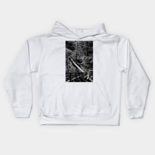 Muir Woods in Black and White. 2012 Kids Hoodie